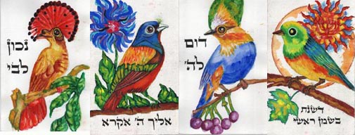 banniere-carnet-oiseau.jpg