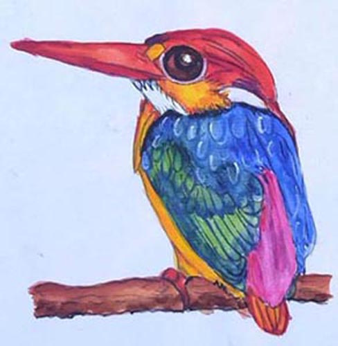 oiseau024s.jpg