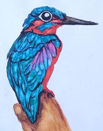 oiseau031s.jpg