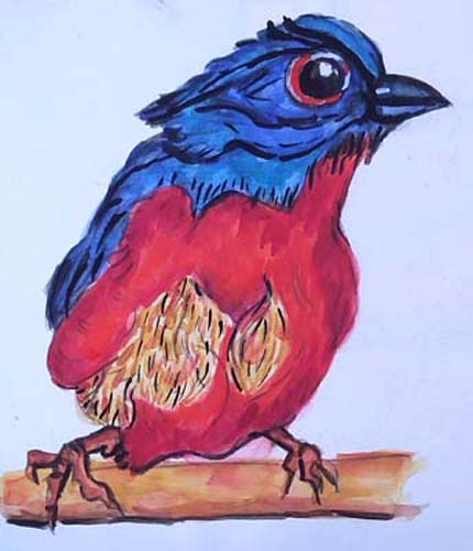 oiseau036s.jpg