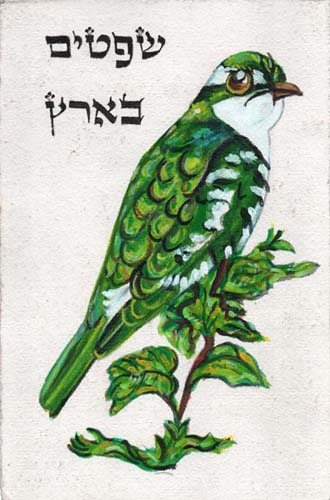 oiseau057s.jpg