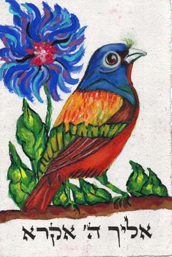 oiseau059s.jpg